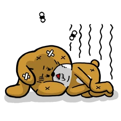 쭈그리 라이프