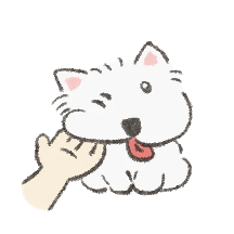 보송보송 웨스티