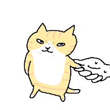 그냥 치즈고양이