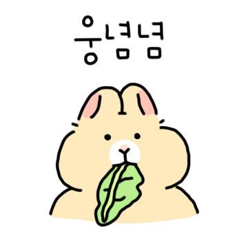꼬마 톡끼의 귀여운 하루
