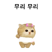모요묘묘2