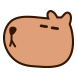 카피바라씨