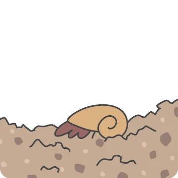 후배님께 건네는 한마디