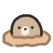 또지