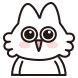 라쿤캣