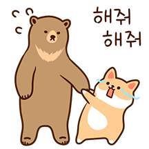 진짜 바쁘개 진짜 느리곰