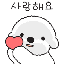 공손한 희동이