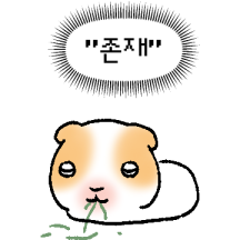 기니피그 : 꾸이