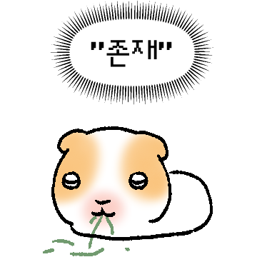 기니피그 : 꾸이