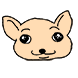 치와악