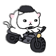 눈치냥 눈 굴러가는 일상