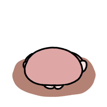 수줍은 두더지