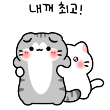 말랑뽀짝 고양이 커플2 (앙고라)