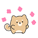 시밤이
