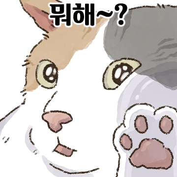 얼빡샷 고양이 2