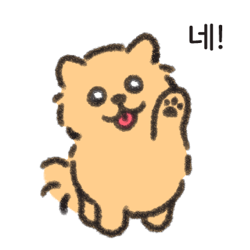 아기 포메라니안 보들이