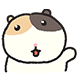 맹쥐