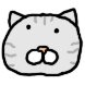 고냉이