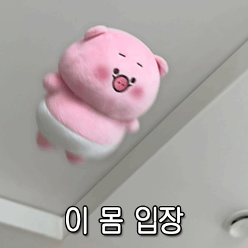 현생에 뛰어든 쪼렙 뽀뚱이