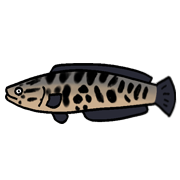 이모티콘 프리뷰