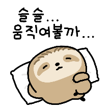 이제서야 움직이는 아무늘보