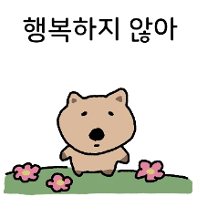 불행 쿼카
