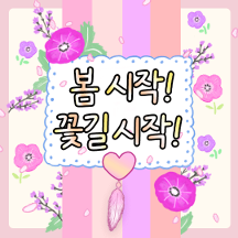 꽃으로 물든 봄편지