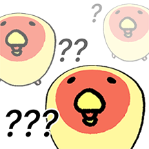 모란앵무는 암거또 몰랑!