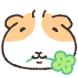 행운기니
