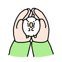 애기 키위새 한마리 데려가세요~ 5