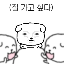 집 지키는 인상파 강아지, 개상씨