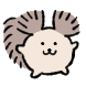 청설모 모서리