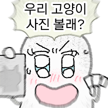 방구석 고양이 전문가