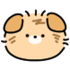 하룻강아지 범이