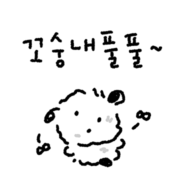 콩 세개 강아지 세달이!