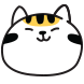 낭만고양이 감자