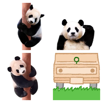 쪼꼬미 판다 (바오패밀리)