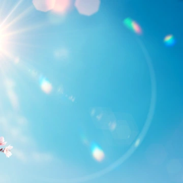 플라워힐링메세지 2