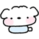 콩티즈