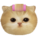 모요묘묘