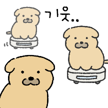 컹 컹! 똥강아지 누릉이 3