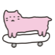 널부렁 고양이