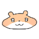 볼딱햄찌