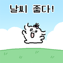 짜근 두 얼굴의 말티즈 2
