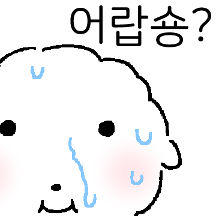 비숑? 어랍숑?