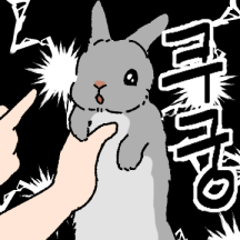 토끼의 기분