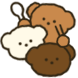 쪼꼬둥이