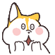 시바 코기