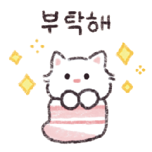 귀여운 랜덤 냥이즈~