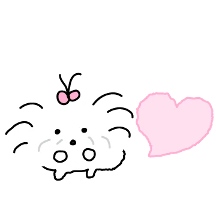 꼬질 말티즈
